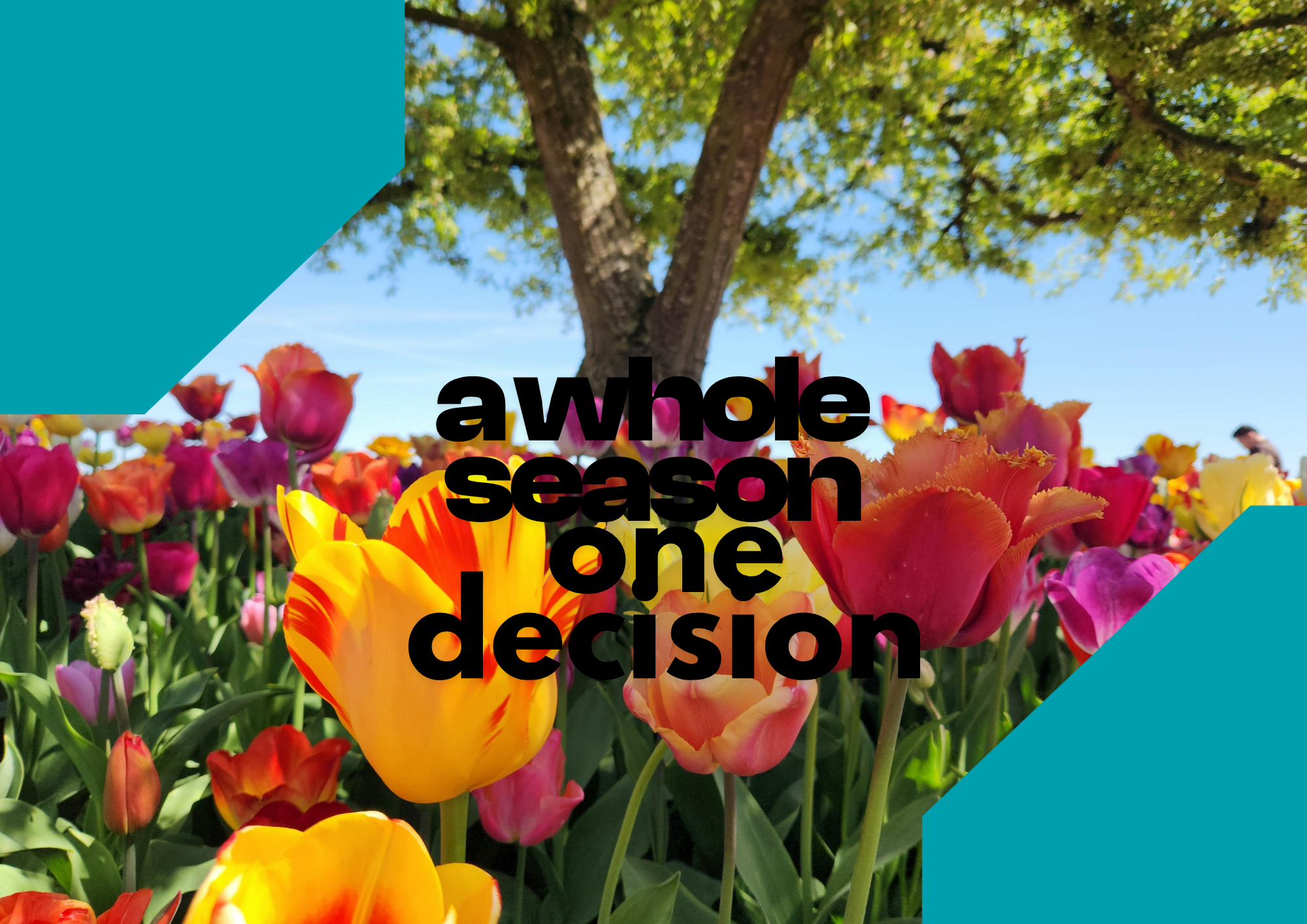 You Don't Need the Whole Season — Just One Decision