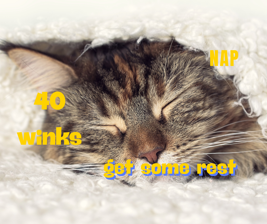 Rest Was Never the Reward, It Was Always the Birthright - Fact 20