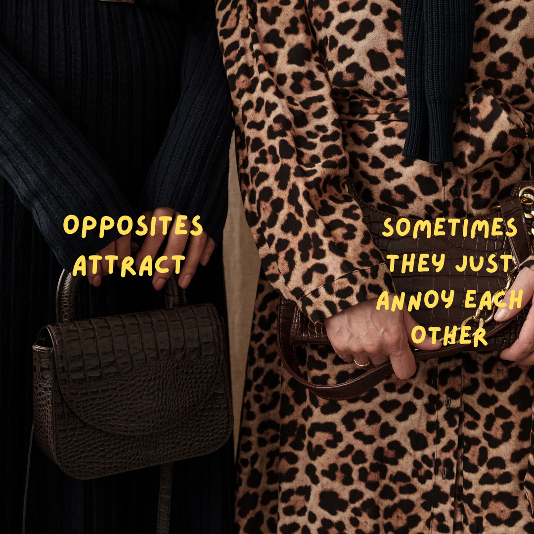 Opposites Attract - Sometimes They Just Annoy Each Other