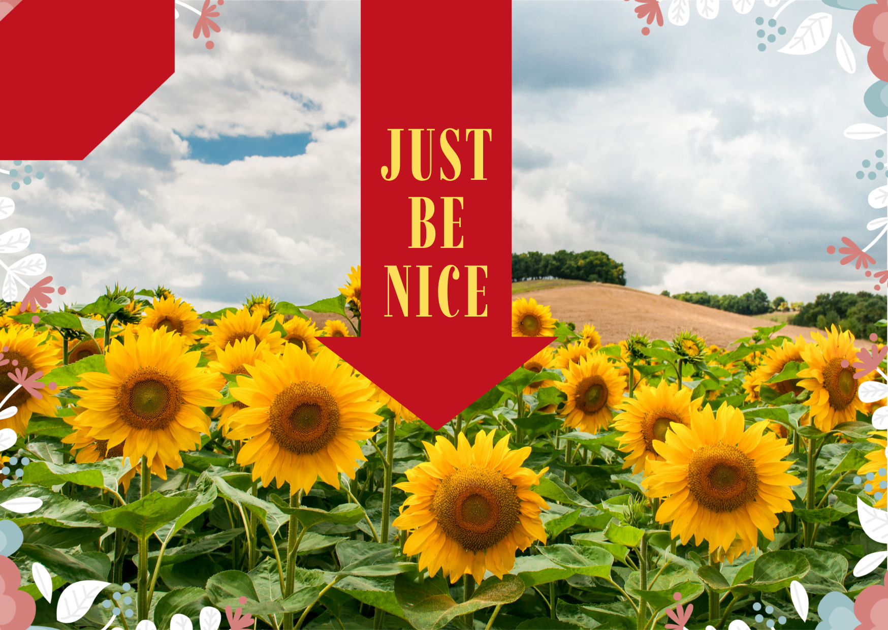 "Nice" — When Did Nice Become an Insult?